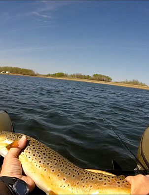 Top Hotel in Minnedosa, MB